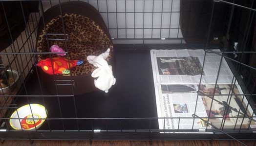 A puppy crate